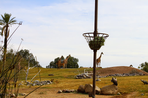 Zoo «Phoenix Zoo», reviews and photos, 455 N Galvin Pkwy, Phoenix, AZ 85008, USA