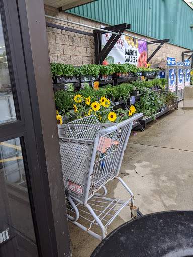 Discount Store «Ocean State Job Lot», reviews and photos, 2291 Northampton St, Holyoke, MA 01040, USA