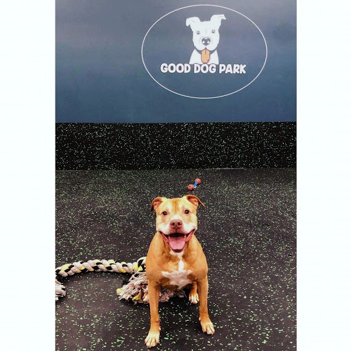 Good Dog Park