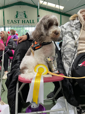 Sheldon Dog Services Ltd