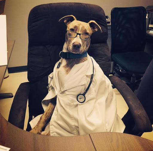 2844 Las Positas Rd, Livermore, CA 94551, USA