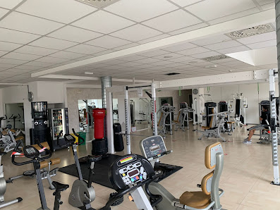 Palestra Atheneo Fitness Center & Centro benessere Spa Via del Commercio, 3, 60031 Castelplanio AN, Italia