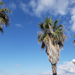 Photo n°4 de l'avis de armellina.a fait le 28/06/2021 à 16:03 sur le  Hotel Elisabetta à Sestri Levante