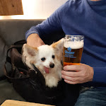 Photo n°1 de l'avis de Clemens.i fait le 25/10/2020 à 19:24 sur le  Hellmairs à Landsberg am Lech