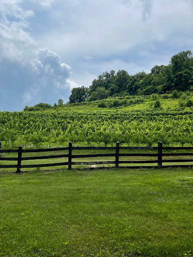 Winery «Delfosse Vineyards & Winery», reviews and photos, 500 DelFosse Winery Ln, Faber, VA 22938, USA