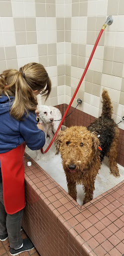 Pet Supply Store «Pet Food Express», reviews and photos, 2531 Fair Oaks Blvd, Sacramento, CA 95825, USA