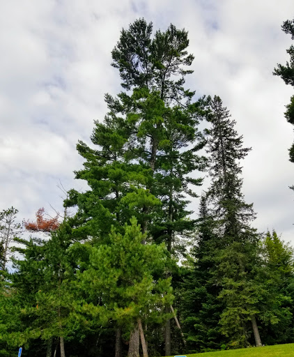 National Park «Voyageurs National Park», reviews and photos