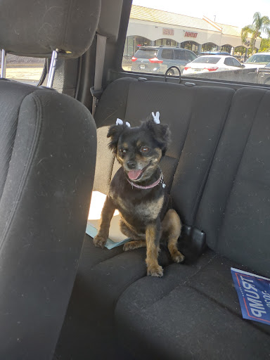 Pet Supply Store «Pet Supplies Plus», reviews and photos, 9143 Little Rd, New Port Richey, FL 34654, USA