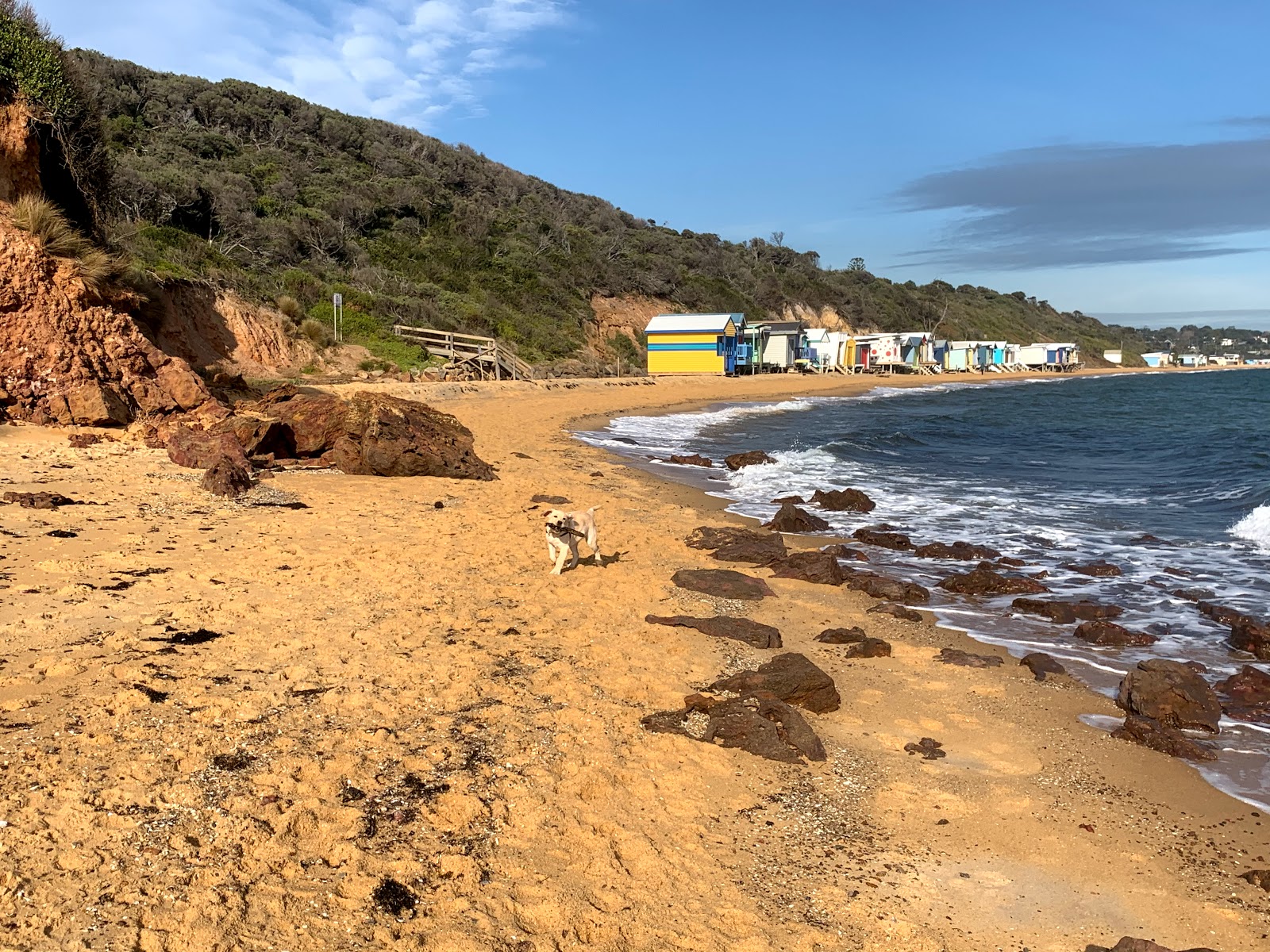 Hawker Beach'in fotoğrafı çok temiz temizlik seviyesi ile