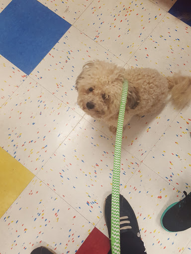 Pet Supply Store «Petco Animal Supplies», reviews and photos, 30 Veterans Memorial Hwy, Commack, NY 11725, USA