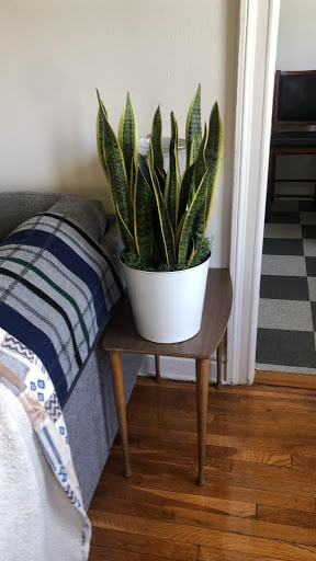 Florist «Blossom Flower Shops», reviews and photos, 275 Mamaroneck Ave, White Plains, NY 10605, USA