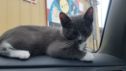 Pet Supply Store «River Valley Feed & Pet Supply», reviews and photos, 6549 16th St, Rio Linda, CA 95673, USA