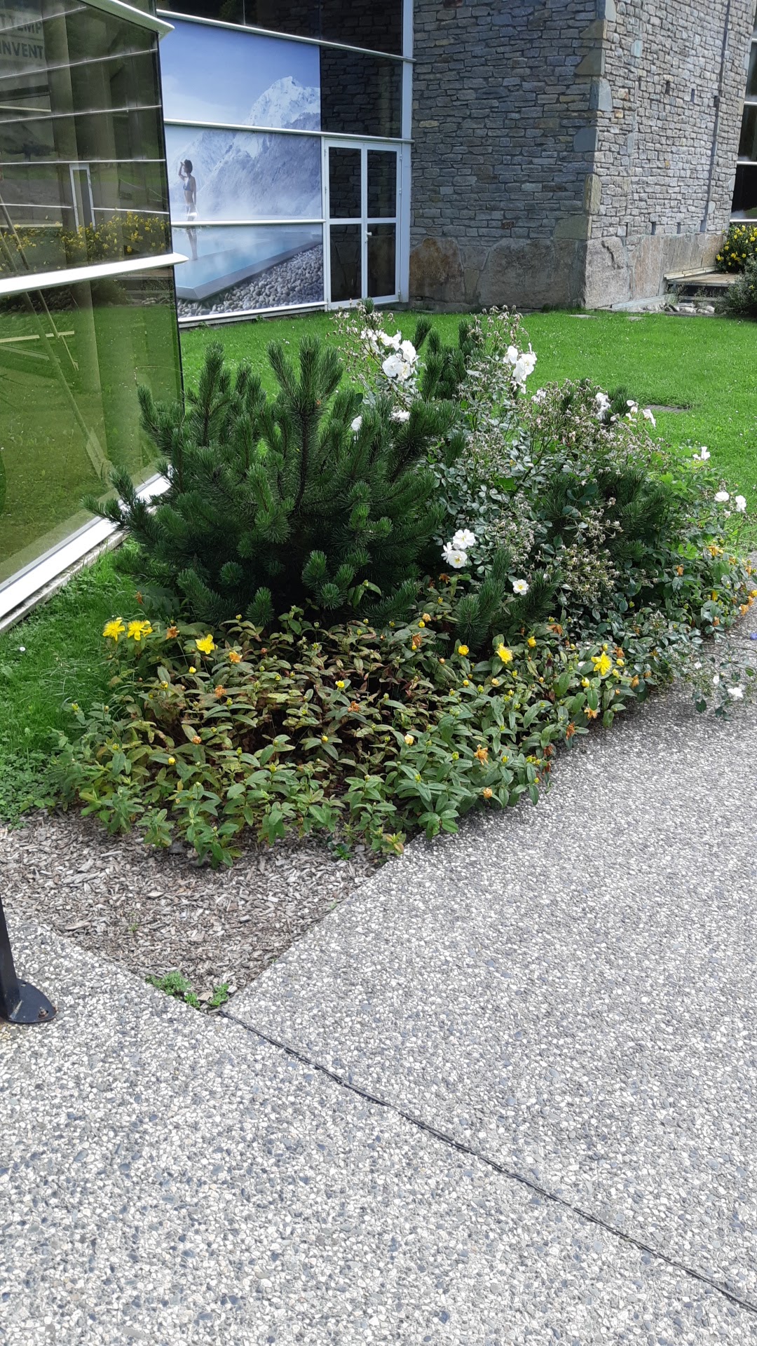 Photo n° 12 de l'avis de JÉJÉ. fait le 16/07/2020 à 14:12