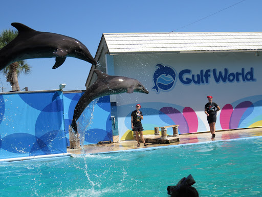 Aquarium «Gulf World», reviews and photos, 15412 Front Beach Rd, Panama City Beach, FL 32413, USA