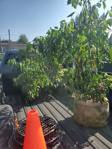 Florist «Little Brook Orchids», reviews and photos, 25 Rider Ave, Lancaster, PA 17603, USA