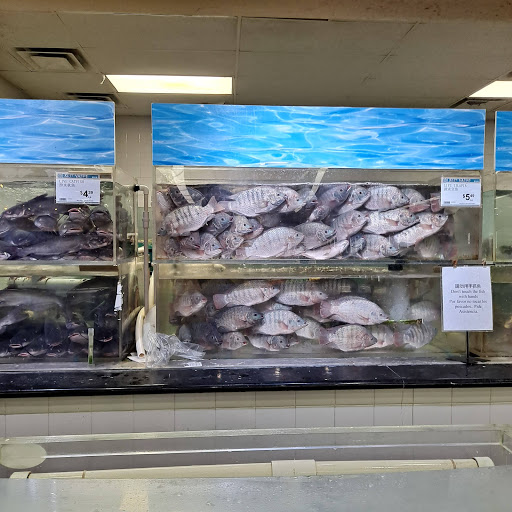 Asian Grocery Store «99 Ranch Market», reviews and photos, 131 W Spring Creek Pkwy, Plano, TX 75023, USA