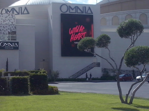 Night Club «Omnia Nightclub», reviews and photos, 3570 S Las Vegas Blvd, Las Vegas, NV 89109, USA