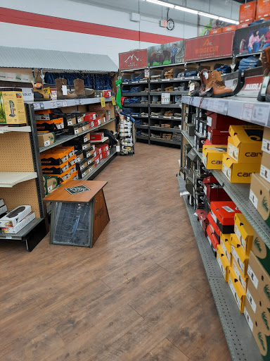 Home Improvement Store «Tractor Supply Co.», reviews and photos, 706 NY-13, Cortland, NY 13045, USA