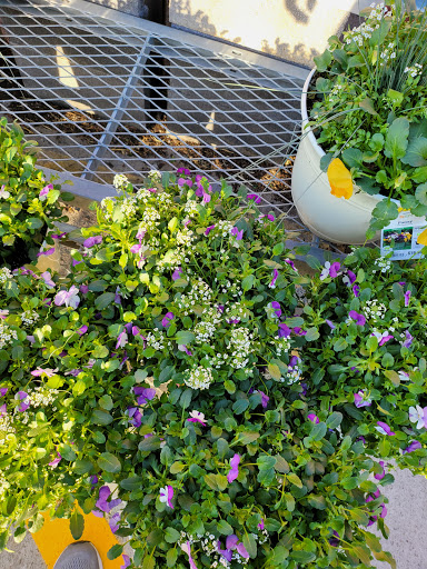 Home Improvement Store «The Home Depot», reviews and photos, 230 Oak Lee Dr, Ranson, WV 25438, USA