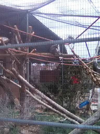 Zoo «Heritage Park Zoological Sanctuary», reviews and photos, 1403 Heritage Park Rd, Prescott, AZ 86301, USA
