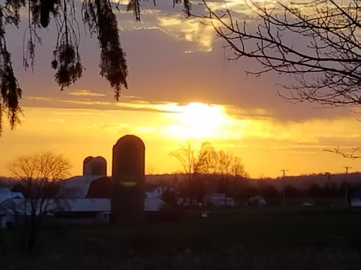 Golf Club «Willowbrook Golf Club», reviews and photos, 3267 NY-215, Cortland, NY 13045, USA