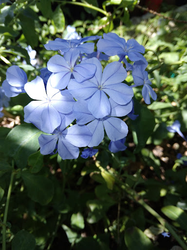 Amusement Center «Lucky Land», reviews and photos, 8625 Airline Dr, Houston, TX 77037, USA