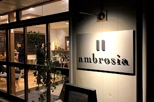 ambrosia image