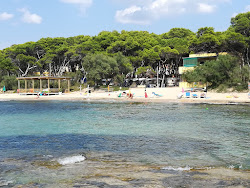 Photo de Spiaggia La Vecchia Torre avec plusieurs baies spacieuses