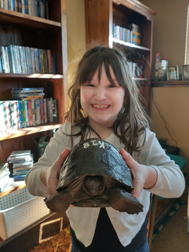 Pet Store «Paws Natural Pet Emporium», reviews and photos, 8551 W Gage Blvd, Kennewick, WA 99336, USA