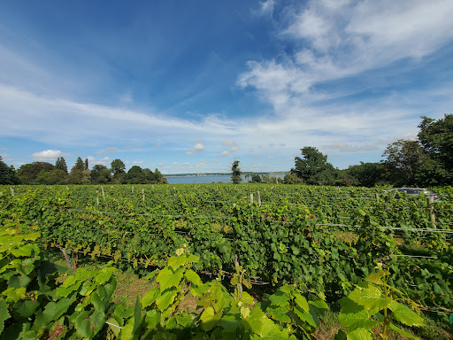 Vineyard «Greenvale Vineyards», reviews and photos, 582 Wapping Rd, Portsmouth, RI 02871, USA