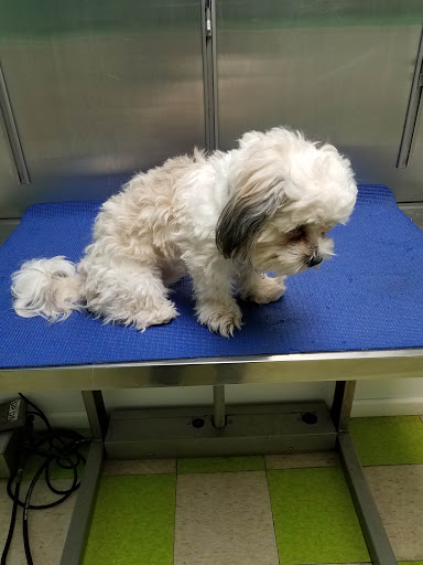 Pottsgrove Animal Hospital