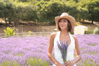 Alexis Lilly Photography - Photo 2 - Car repair in , Santa Cruz