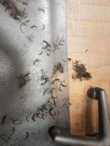 Hair Salon «Lauthr Salon», reviews and photos, 260 Petaluma Blvd N, Petaluma, CA 94952, USA