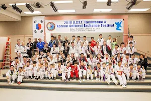 US Taekwondo Team (USTT) image
