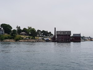 7 Seas Whale Watch - photo 81