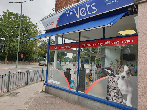 Free vet Kingston-upon-Thames