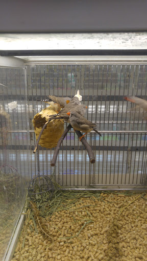 Pet Supply Store «PetSmart», reviews and photos, 5200 W Main St, Kalamazoo, MI 49009, USA