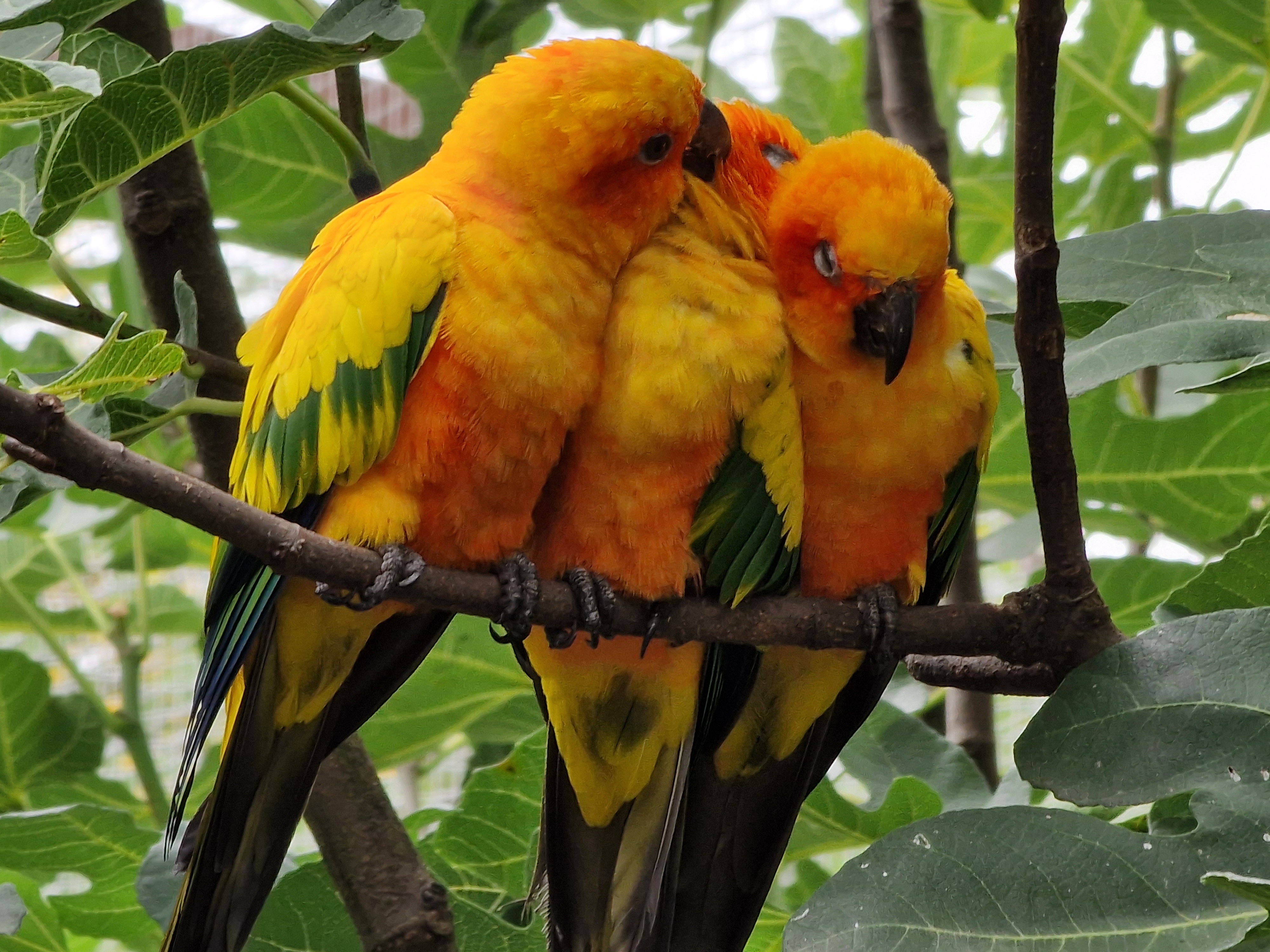 Photo n° 10 de l'avis de Andre.e fait le 09/08/2022 à 17:59