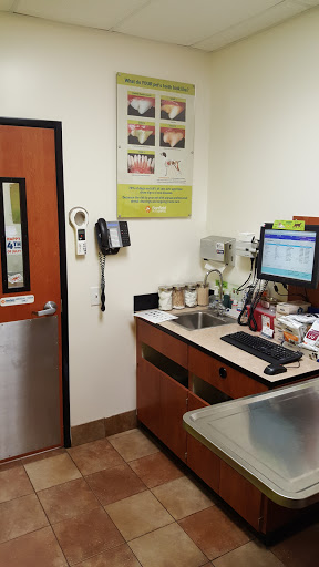 Pet Supply Store «PetSmart», reviews and photos, 3101 Market Center Drive, Morrisville, NC 27560, USA