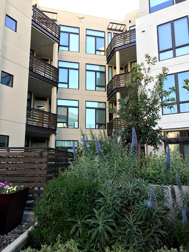 100 Moffett Apartments image