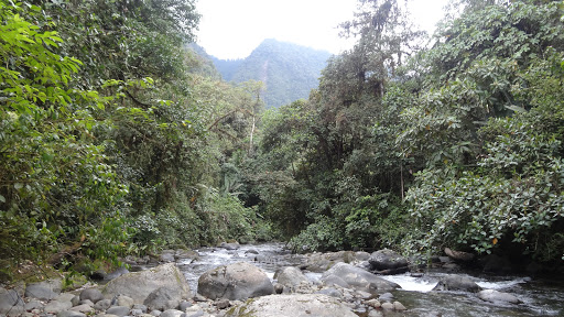Reserva Las Tangaras