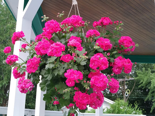 Department Store «Sears», reviews and photos, 200 Eastview Mall, Victor, NY 14564, USA