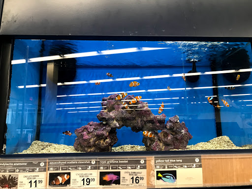 Pet Supply Store «Petco Animal Supplies», reviews and photos, 9111 Metropolitan Ave, Rego Park, NY 11374, USA