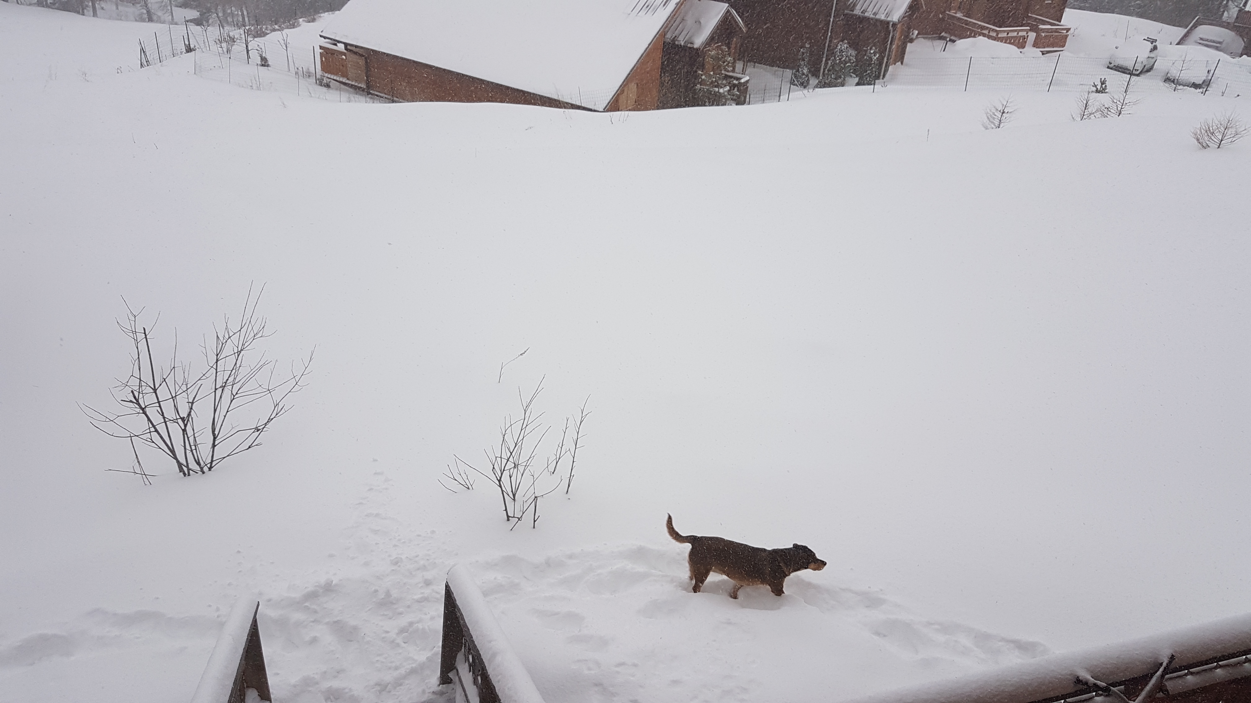Photo n° 6 de l'avis de Maelle.a fait le 15/02/2019 à 12:16
