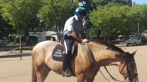 Park «Lafayette Square», reviews and photos, Pennsylvania Ave NW & 16th Street Northwest, Washington, DC 20001, USA