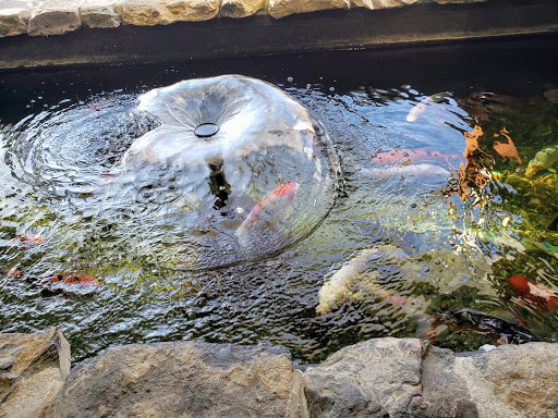 Pet Store «Pet Advantage», reviews and photos, 350 Dorset St # 1, South Burlington, VT 05403, USA