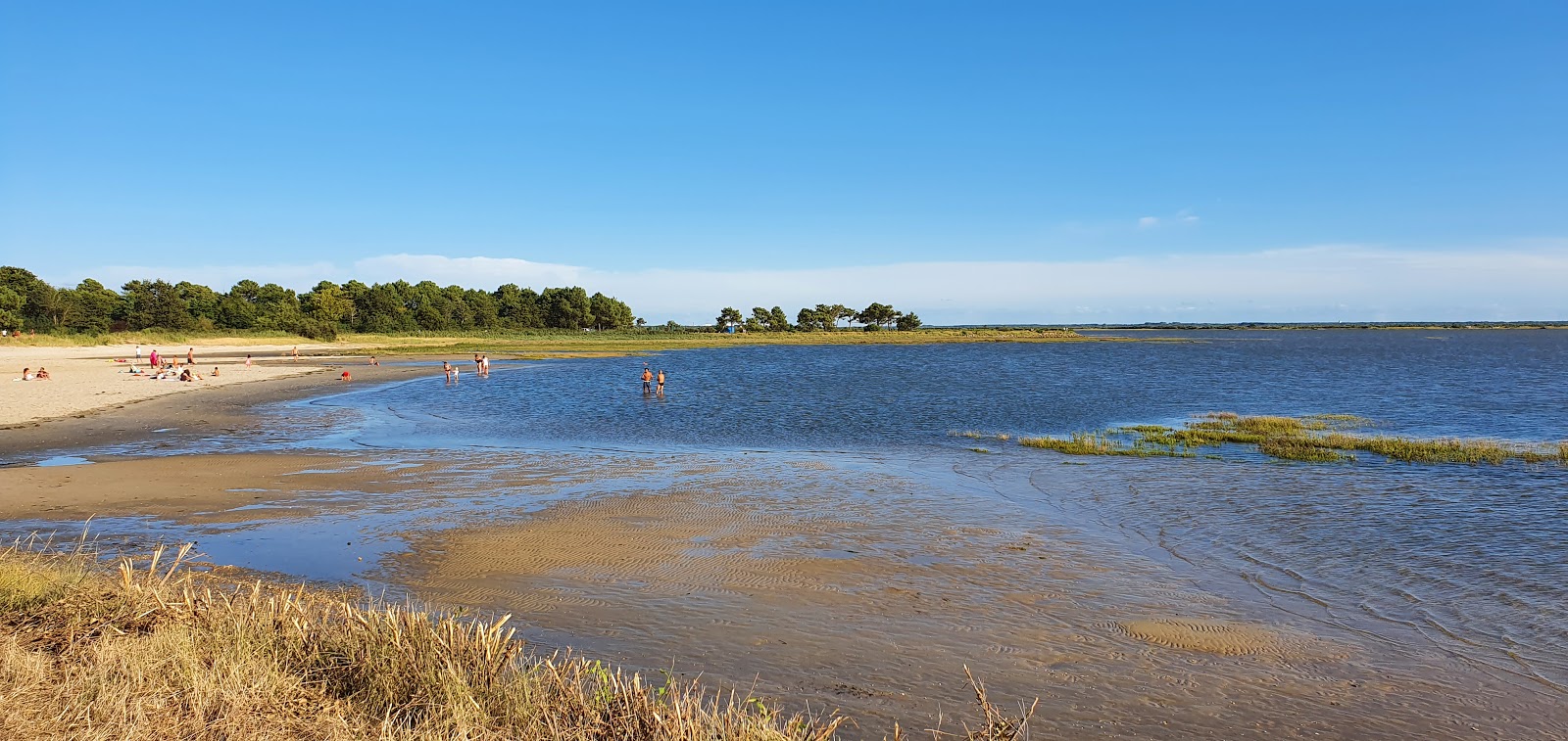 Bassin de baignade de Lanton photo #6