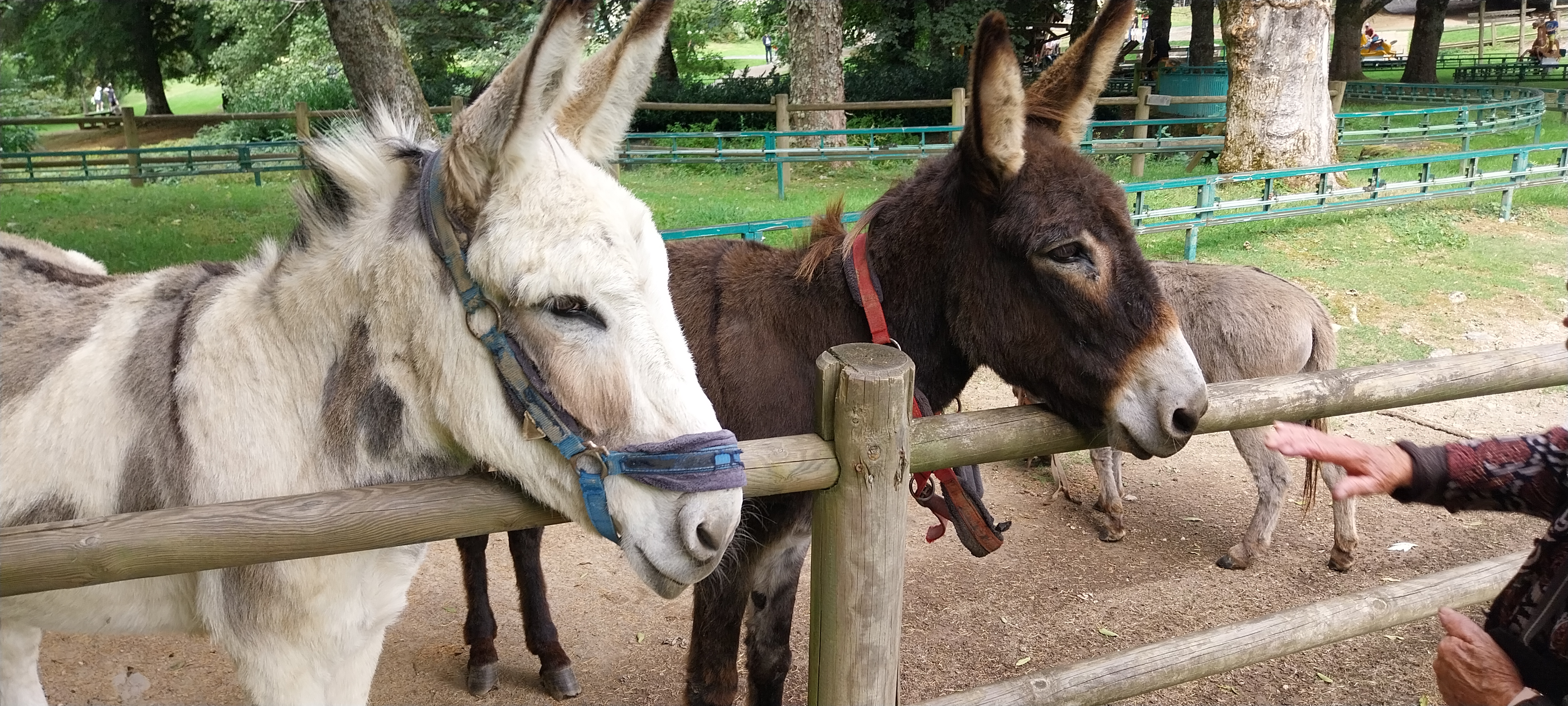 Photo n° 1 de l'avis de Mojo.a fait le 16/09/2023 à 17:39