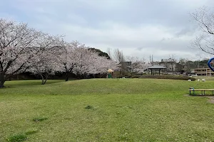 Fukuodai Central Park image