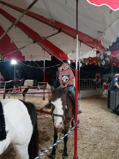 Stadium «Cotton Bowl Stadium», reviews and photos, 3750 The Midway, Dallas, TX 75215, USA